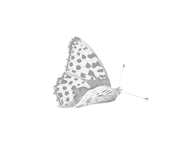 Прихватка "Сиреневая бабочка"  S24-04